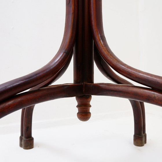 Image 1 of Grote kapstok van gebogen hout in de stijl van een papegaai, in de Thonet-uitvoering – begin 20e eeuw