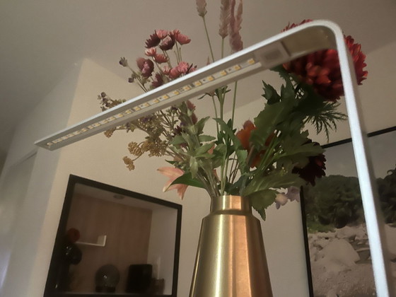 Image 1 of Nimbus - Line Z LED Design Table Lamp