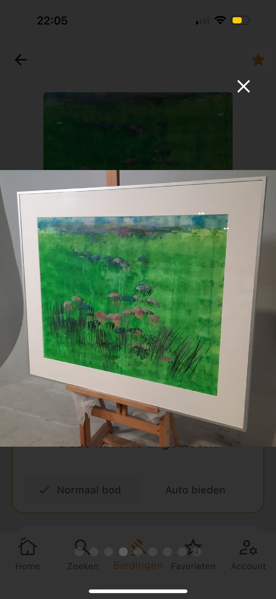 Image 1 of Maya Wildevuur - aquarelle - 91x110 cm - Champ de fleurs