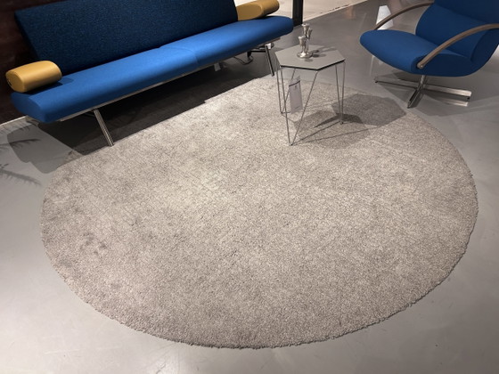 Image 1 of Tappeto Twinset Urban ø250 cm rotondo