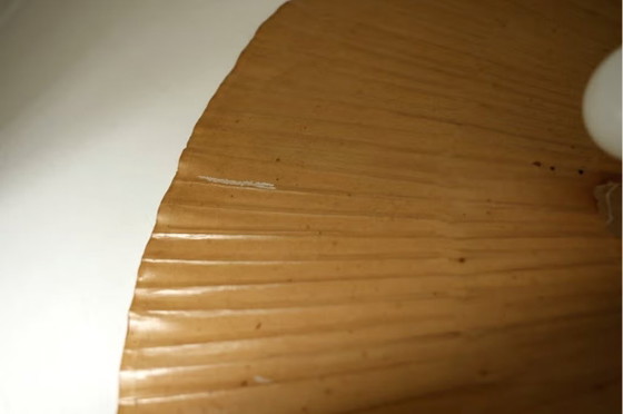 Ingo Maurer Uchiwa Wall Lamp – Design M, 1970s – Wall lights, Paper (photo 8 of 13)