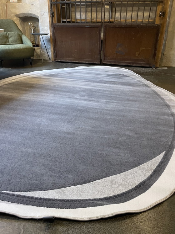 Image 1 of Pode Shallow carpet color Mud 280 x 380