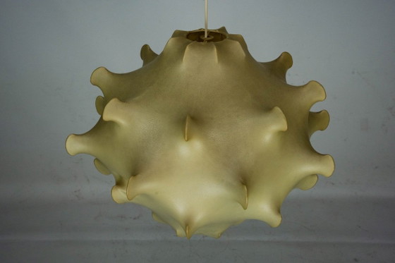 Image 1 of Rara lampada a sospensione in bozzolo di fiori di Taraxacum, prima edizione, anni '60.