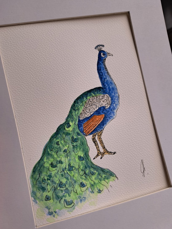 Image 1 of Original watercolor peacock in frame