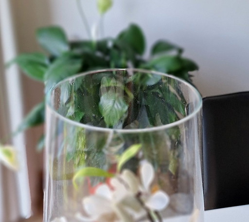 Glass Vase with Silk Orchid and Candle Holder