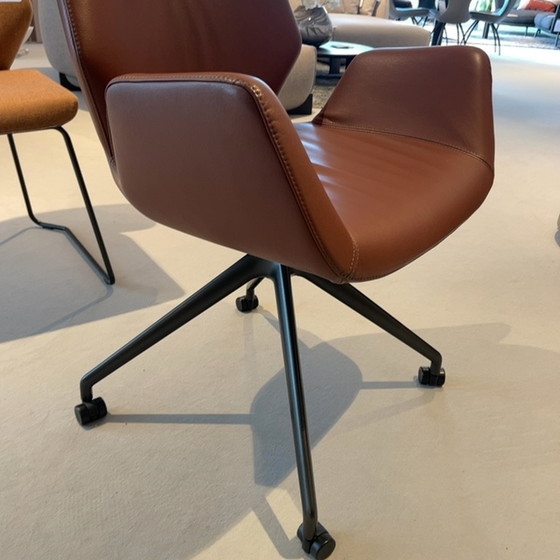 Image 1 of Leolux Mime Esszimmerstuhl (5er-Set)