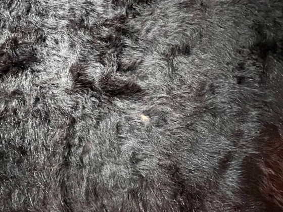 Image 1 of Tappeto, pelle di vacchetta marrone