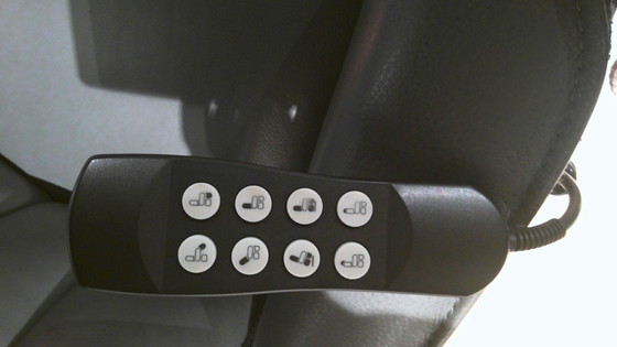 Image 1 of Lerira debout