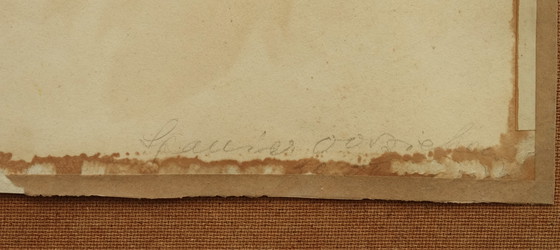 Image 1 of Sunflowers, Will Spanier (1894-1957) Hamburg, Sunflowers