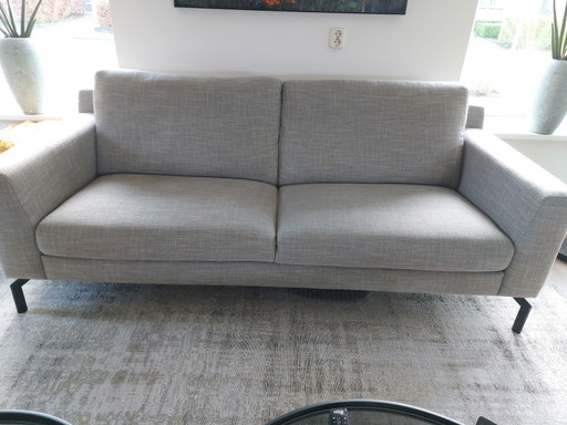 Montel bench Montelex Plus