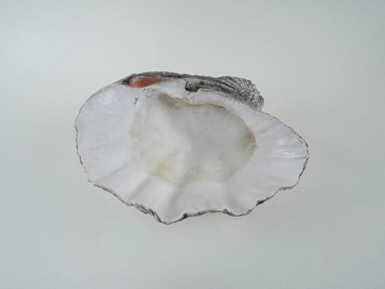 Image 1 of Conchiglia decorativa Tridacna, stile boho, anni '80