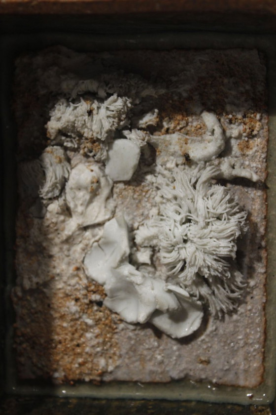 Image 1 of Marie-Anne e Philippe Rouhier - Scultura per acquario in gres e porcellana 1979