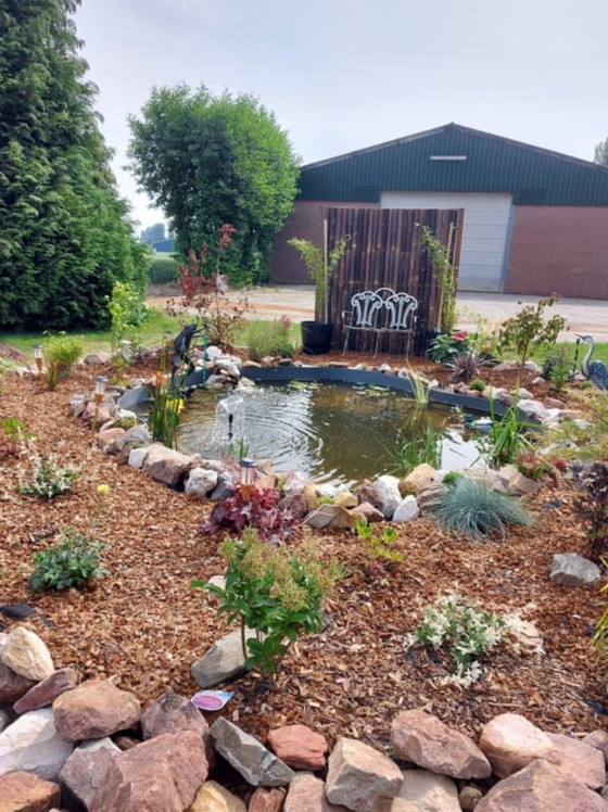 Image 1 of Fontaine grenouille en bronze avec libellule