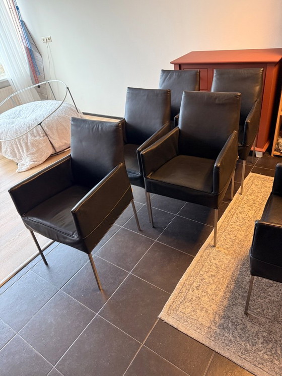 Image 1 of 6 sedie da pranzo in pelle Bert plantagie