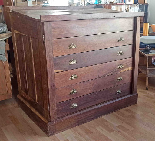 Mid-19th Century Rosewood Card Cabinet 122 cm wide