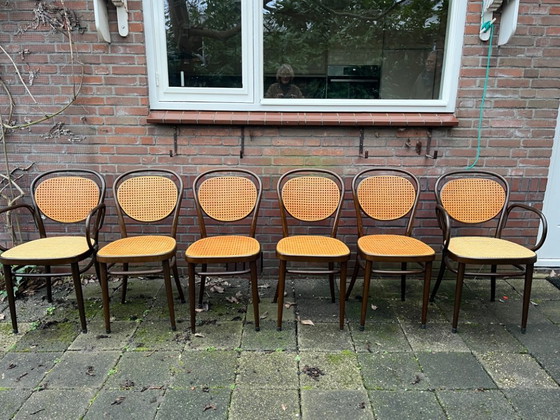 Image 1 of Tavolo da pranzo Thonet con 2 prolunghe intermedie e 6 sedie 214/215