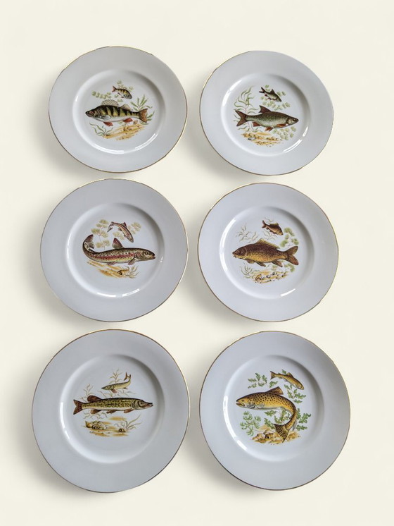 Image 1 of Rarità! Servizio vintage di porcellana con motivi di pesci e bordo dorato | Hutschenreuther, Selb, Eschenbach | Dipinto a mano