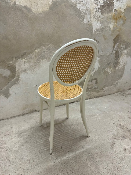 Image 1 of Thonet ZPM Radomsko Stuhl Kaffeehaus