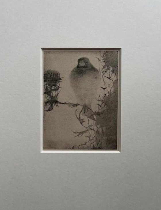 Image 1 of Jan Mankes 1889-1920 / Heliograbado original Jilguero en rama 1923