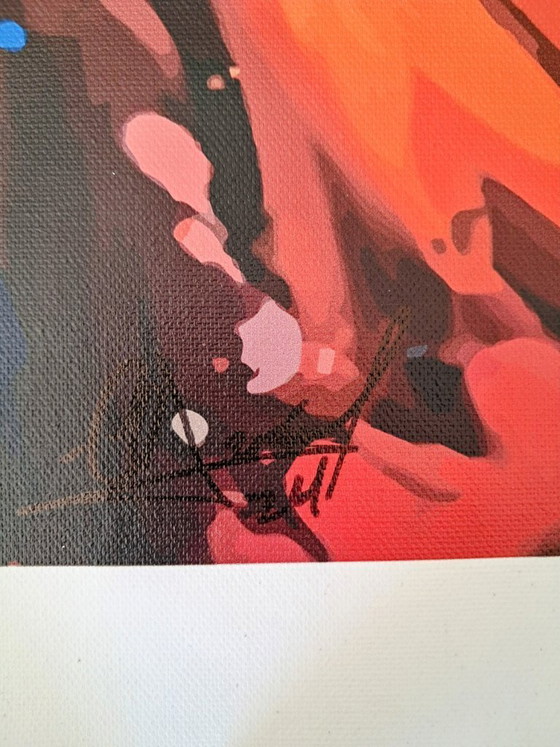 Image 1 of Alberto Ricardo - Dragon Ball 2 - Lienzo del artista