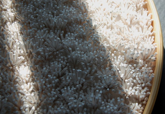 Image 1 of Ronde, gestructureerde 3D-wanddecoratie van klei met lijst: Luxe Slow Living