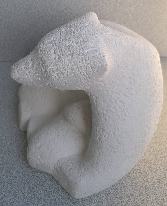 Image 1 of Poolbeer met welpen Orhan Otay