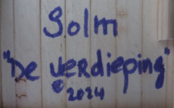 Eric Van Solm - ´De Verdieping´ – Beeldhouwkunst, Wood (photo 8 of 8)