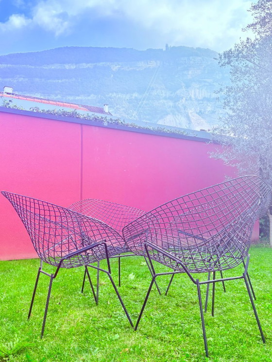 Image 1 of Poltrone Bertoia