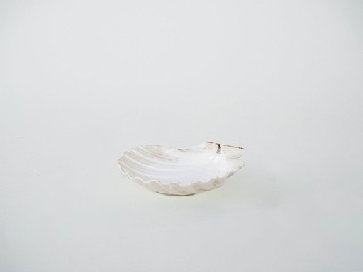 Coquillage décoratif, style bohème, années 1980