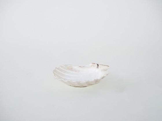 Image 1 of Coquillage décoratif, style bohème, années 1980