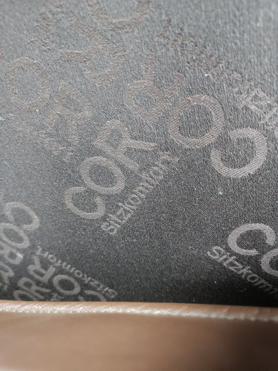 Image 1 of Poltrona Swing Lounge di Reinhold Adolf e Hans-Jürgen Schräpfer per COR, anni &#39;70