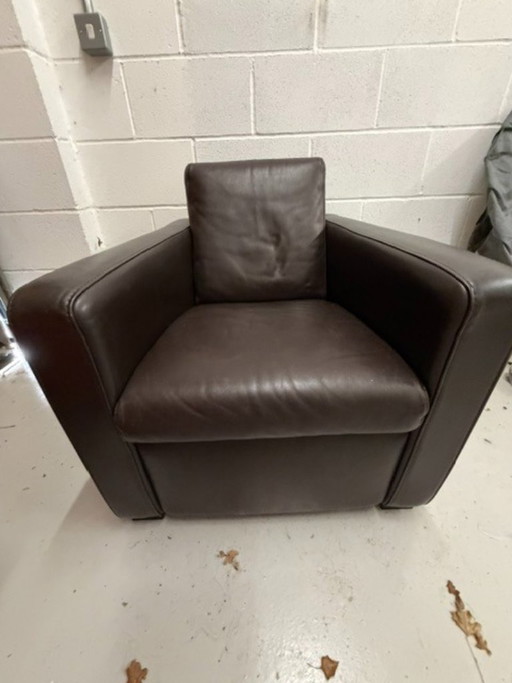 Walter Knoll Elton Sessel aus Premium Schokoladenbraunem Leder