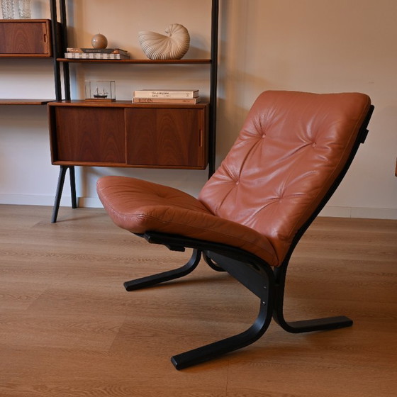 Image 1 of Sedia Fiesta di Westnova