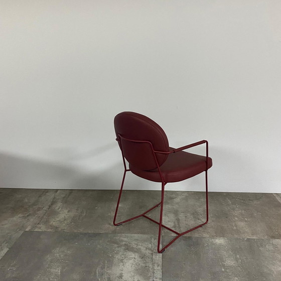 Image 1 of Daisy Plus 6er-Set