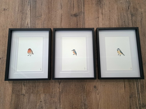 Set of 3 original watercolor paintings of mini birds