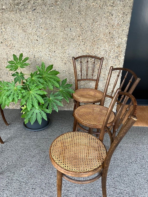 Image 1 of 6 Thonet-Stühle, frühes 20. Jahrhundert