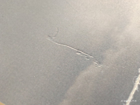 Image 1 of 2 obras fotográficas; título: girasol