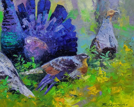 Image 1 of Black grouse in the summer forest