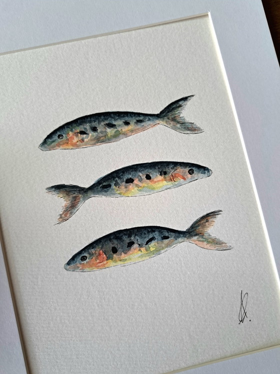 Original Sardine Watercolor Painting | Includes Frame – Paintings & Drawings, Paper (photo 3 of 5)
