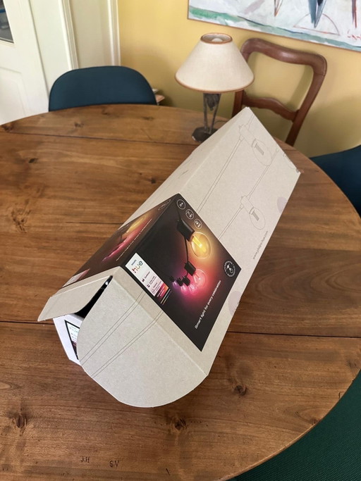Philips Hue Festivia Außenleuchten