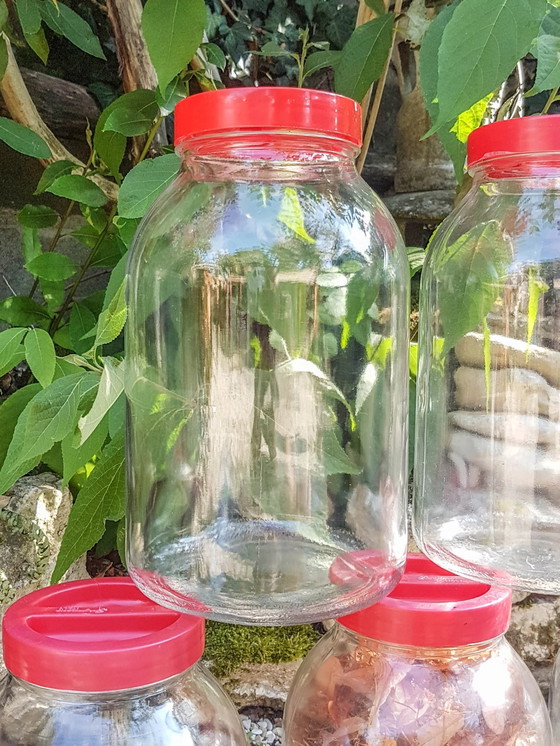 Vintage glass jar, 1950 – Decorative Objects, Plastic (photo 5 of 10)