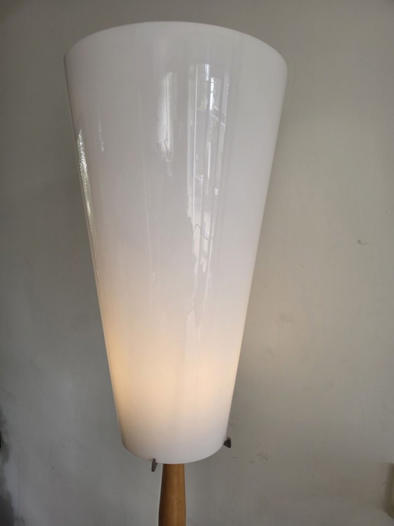 Seluce exclusivo per De Sede Lampada da terra xl – Lampade da terra, Pelle, Metallo (photo 6 of 13)