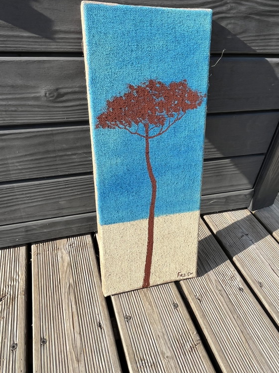 Image 1 of Umbrella pine 50x20cm