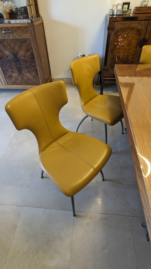 Chai6 Leolux Callas leather chairs in very good condition