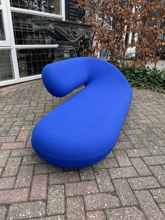 Image 1 of Artifort Cleopatra Loungebank, 70 Jahre