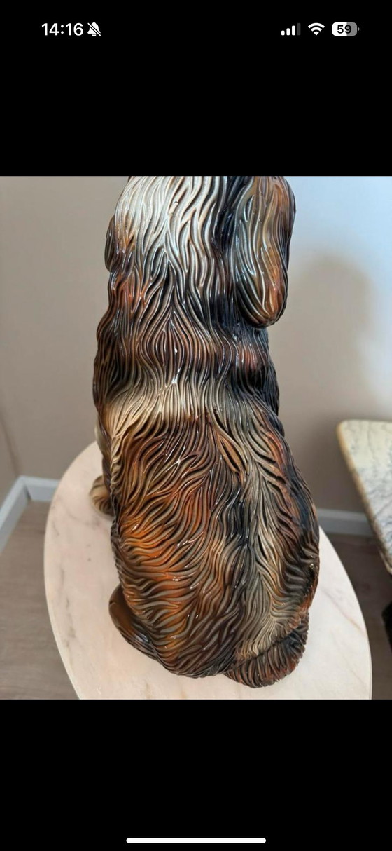 Image 1 of Cane d&#39;epoca