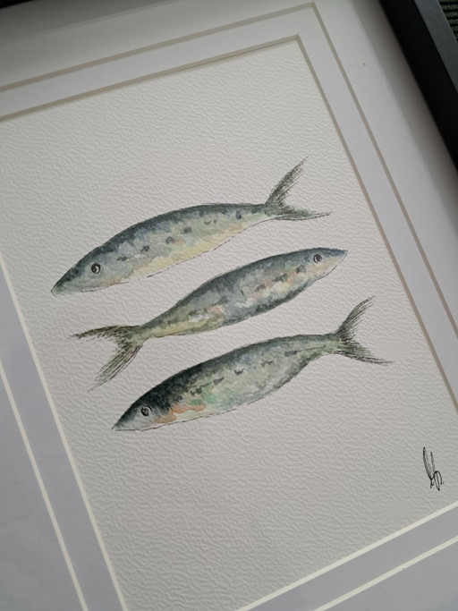 Origineel aquarel schilderij sardientjes inclusief lijst frame