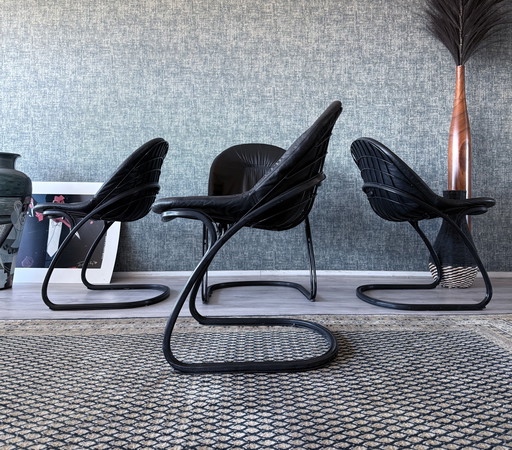 4x Pascale Dining Chairs by Gastone Rinaldi for Thema, 1970s