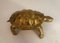 Messing schildpadsculptuur – Beeldhouwkunst, Brass (photo 4 of 9)