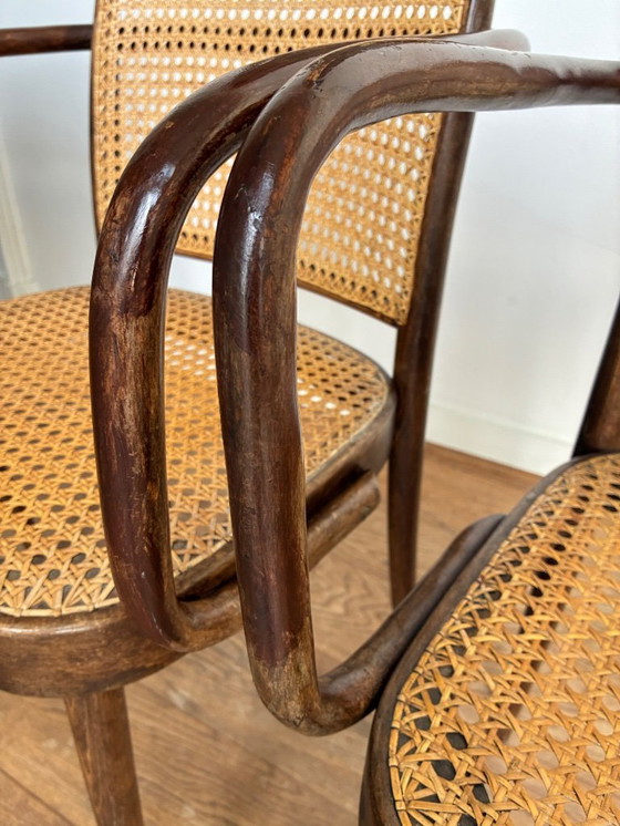 Image 1 of 4x Sessel „Prag“, Entwurf Thonet Nr. 811 von Josef Hoffmann